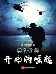 从火凤凰开始的崛起 盗侠冬雪