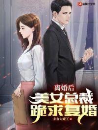 女总裁第一章离婚