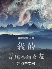 我的合租女友游戏