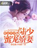 漫漫婚途陆少