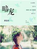 暗宠成瘾大结局免费观看