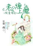 限量宠婚老公别太坏免费阅读