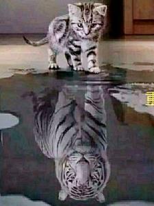 重生之远离前任gl