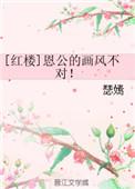 红楼恩公的画风不对txt