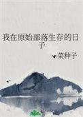 我在原始部落生存的日子讲什么