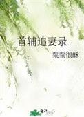首辅追妻录好看吗