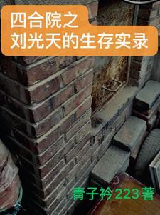四合院 我是刘光天