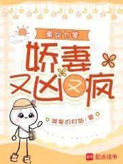 重回七零娇妻又凶又疯(城)