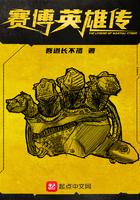 赛博英雄传百度