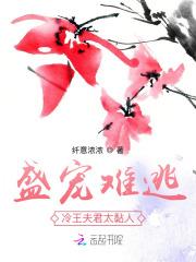 冷王的盛宠王妃