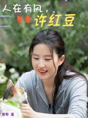 去有风的地方许红豆姐姐