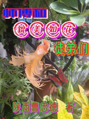 师傅貌美如花金手指