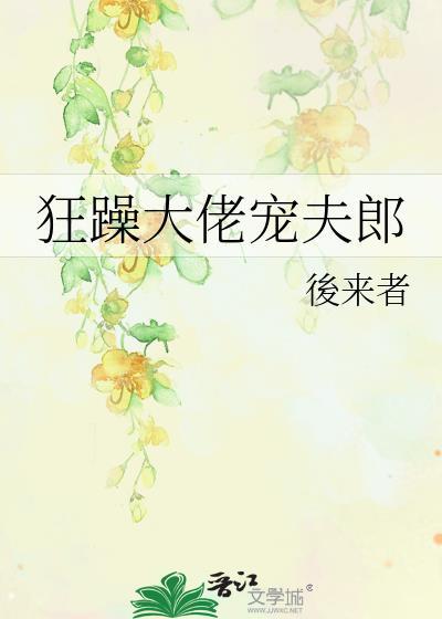 狂躁大佬宠夫郎TXT百度
