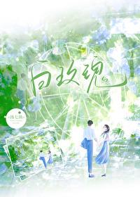 白玫瑰寓意