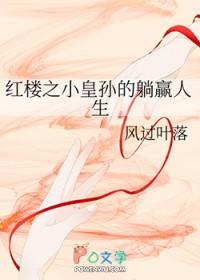 红楼之皇妃
