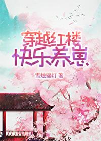 穿越红楼的文