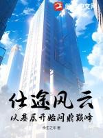 仕途风云从基层开始问鼎巅峰王远山
