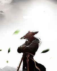 扶一把大秦主角有几个女主