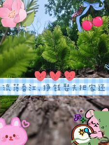 带着空间重生到七十年代