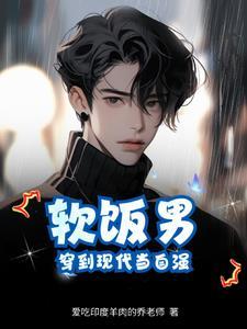 男主穿越成小白脸的
