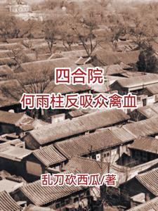 四合院傻柱的崛起
