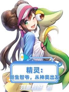 神奇宝贝之新生小智神奥地区