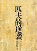 匹夫的逆袭结局是什么意思