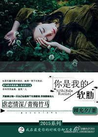 你是我的软肋也是我的铠甲是什么歌