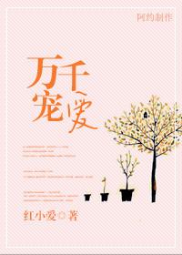 万千宠爱系列